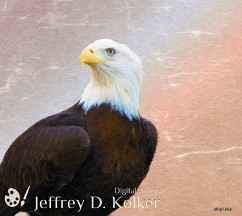 Freedom Flyer An American Bald Eagle