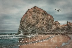 Haystack Rock Birds fly about and above the Haystack, the place the most likely call home. A scene from Cannon Beach, Oregon.